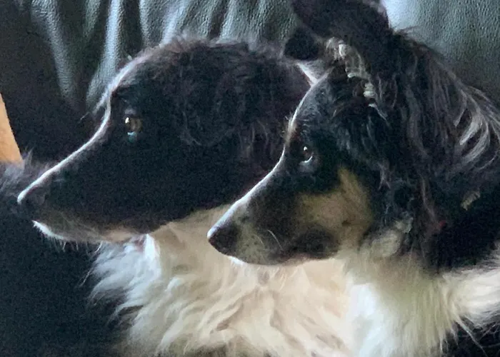 Le Bas Chesnay En Poiraie Prázdninový dům Domfront (Orne)